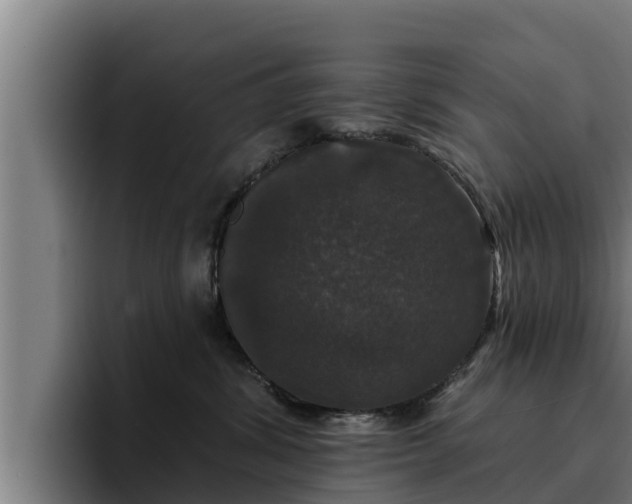 X0000094940428200712061235