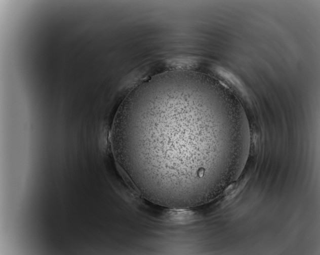 X0000094940429200712061235