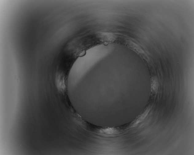 X0000094940431200712061235