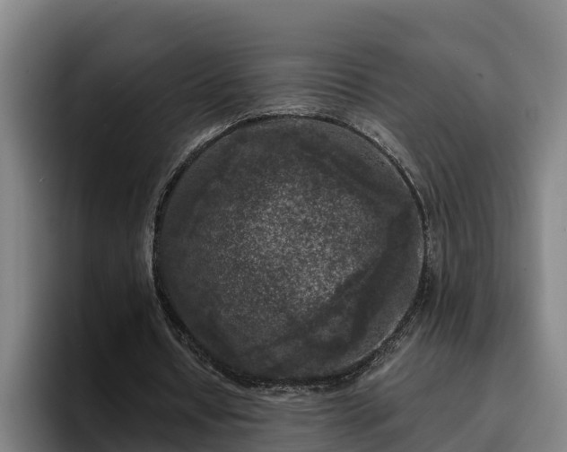 X0000094940434200712061234