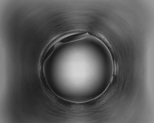 X0000094940435200712061234