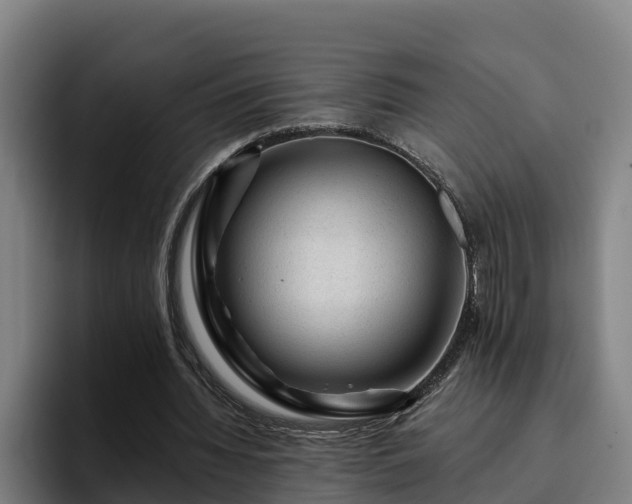 X0000094940436200712061234