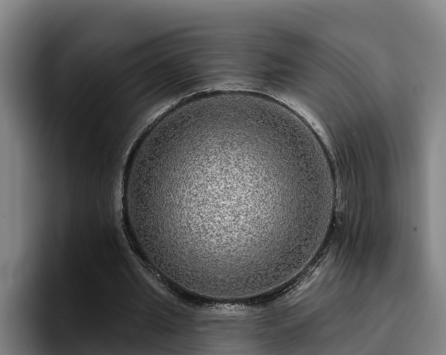 X0000094940437200712061234