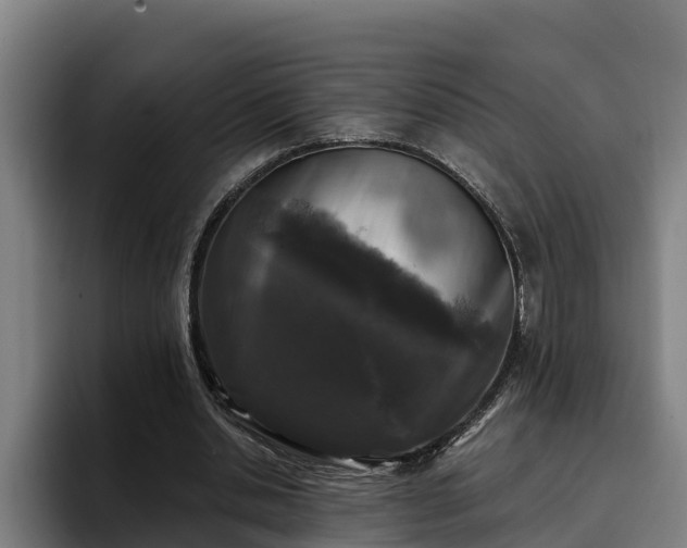 X0000094940438200712061234