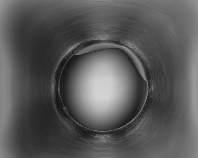 X0000094940440200712061234