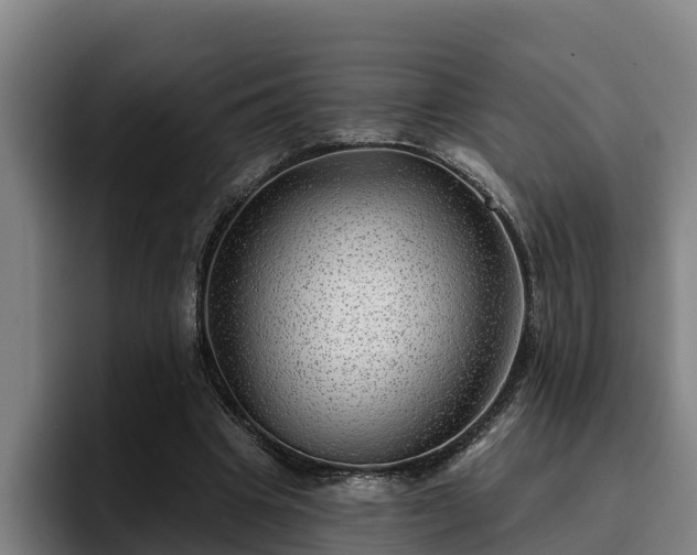 X0000094940441200712061234