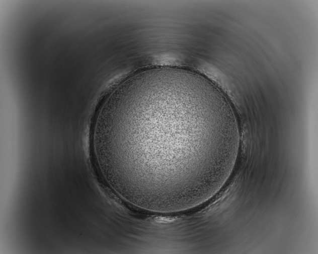 X0000094940442200712061234