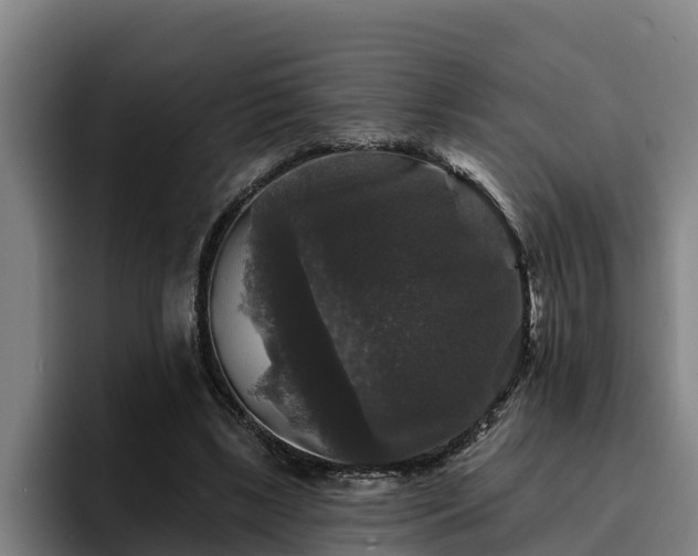 X0000094940443200712061234