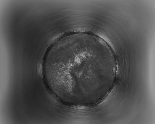 X0000094940444200712061234