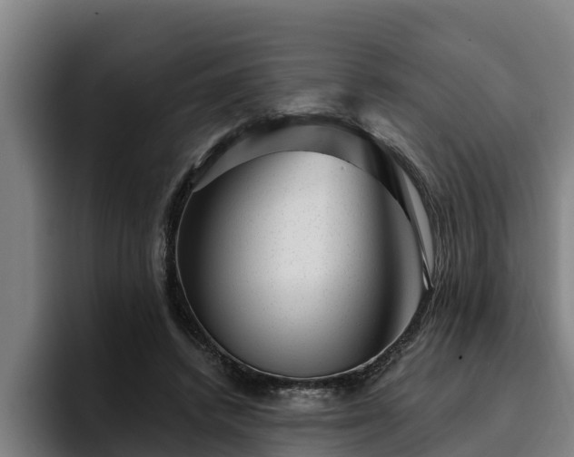 X0000094940448200712061234