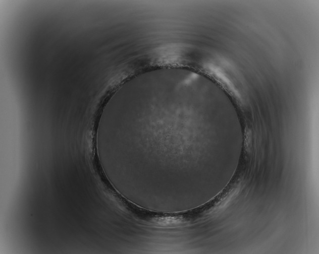 X0000094940449200712061234