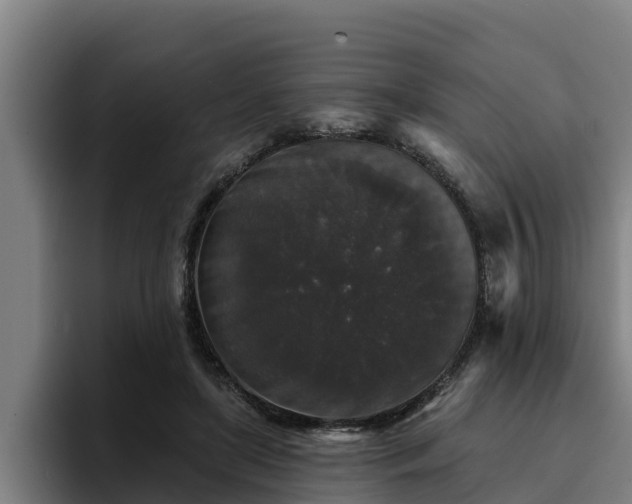 X0000094940451200712061234