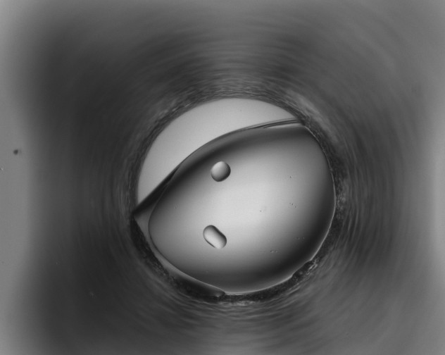 X0000094940452200712061234