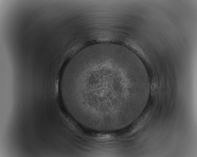 X0000094940454200712061234