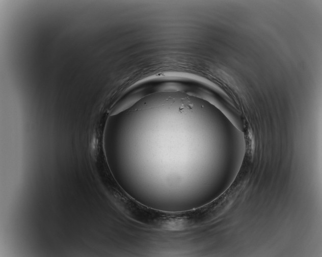 X0000094940456200712061234