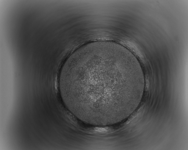 X0000094940457200712061234