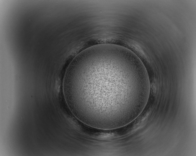 X0000094940458200712061234