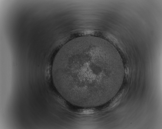 X0000094940462200712061234