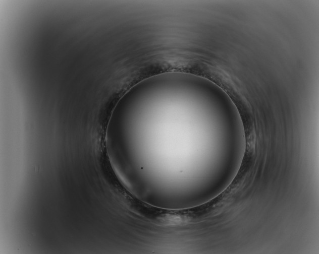 X0000094940464200712061235