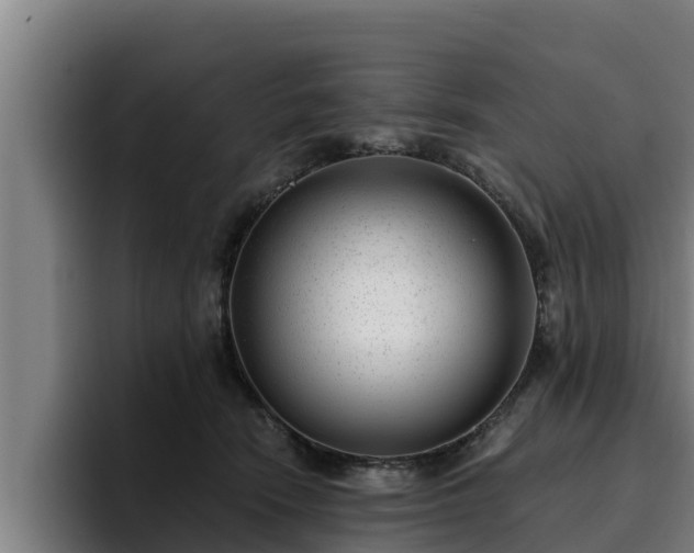 X0000094940466200712061235