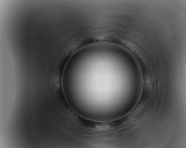 X0000094940470200712061235