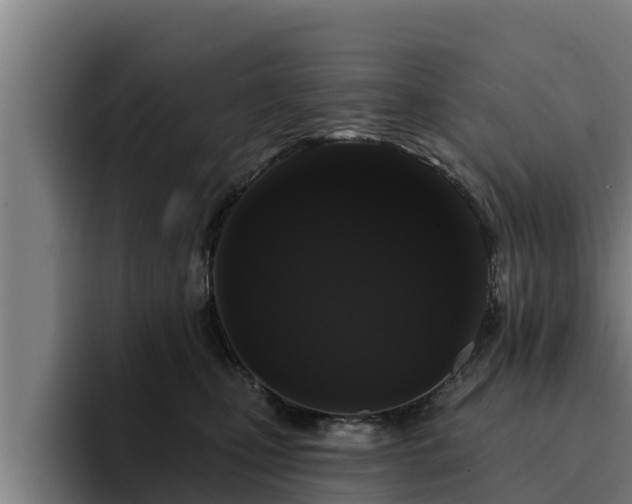 X0000094940471200712061235