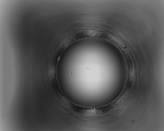 X0000094940473200712061235