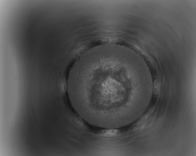 X0000094940474200712061235