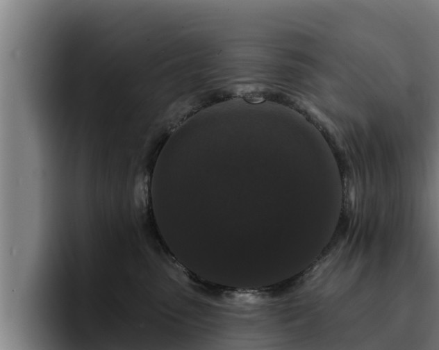 X0000094940475200712061235