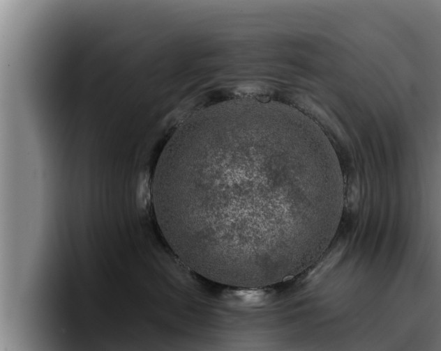 X0000094940478200712061235