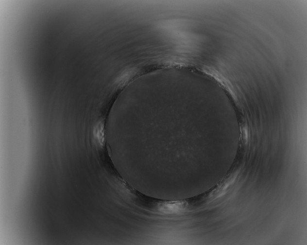 X0000094940479200712061235