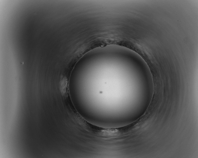 X0000094940480200712061235