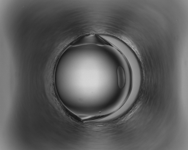 X0000094940481200712061234