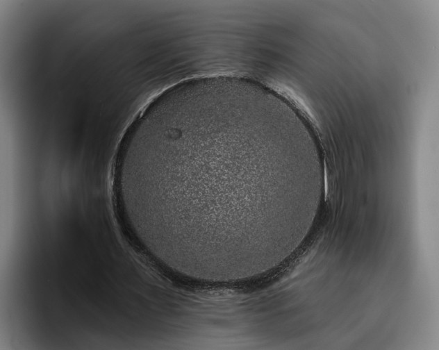 X0000094940483200712061234