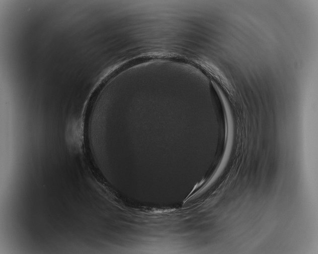 X0000094940484200712061234