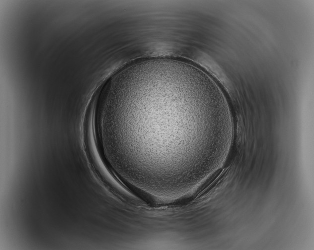 X0000094940485200712061234