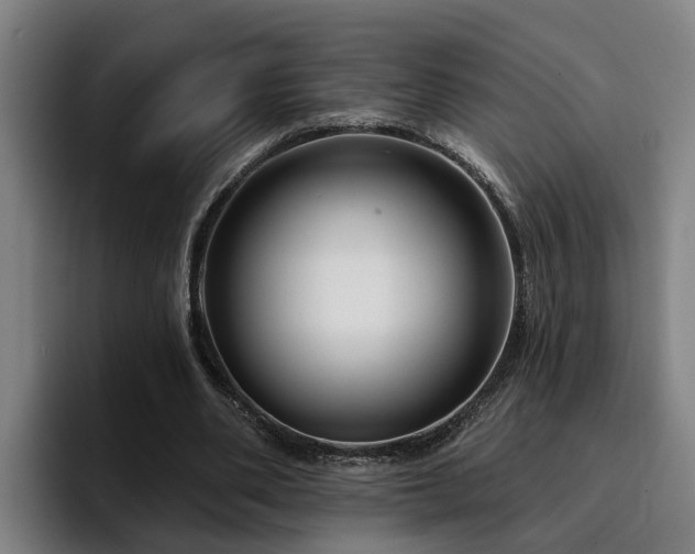 X0000094940486200712061234