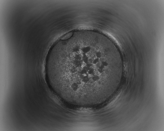 X0000094940487200712061234