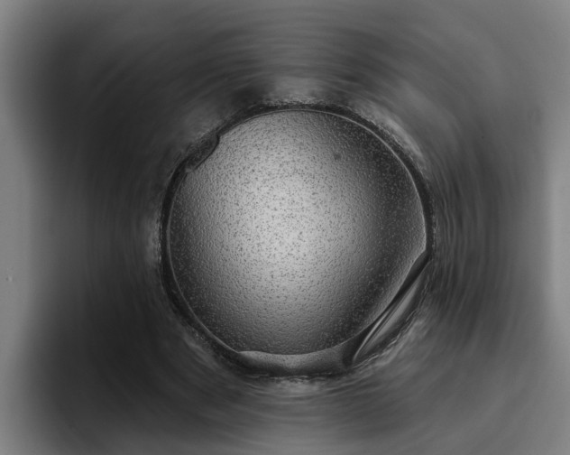 X0000094940489200712061234