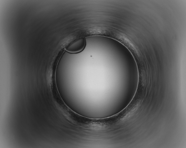 X0000094940490200712061234