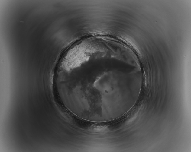 X0000094940491200712061234