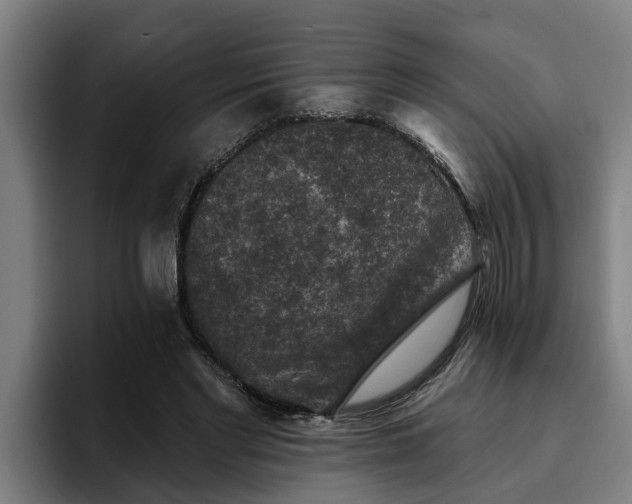 X0000094940493200712061234