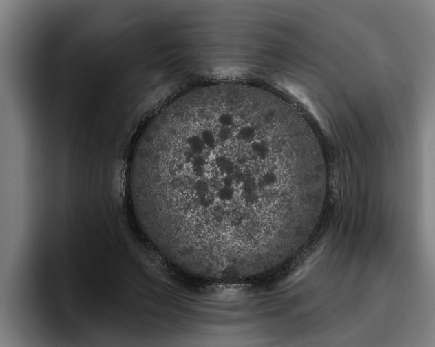 X0000094940495200712061234