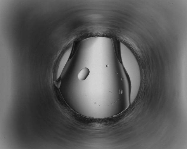 X0000094940496200712061234