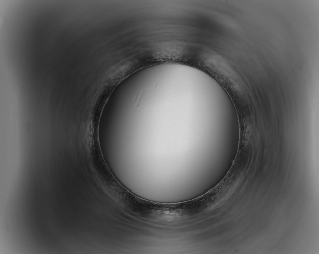 X0000094940498200712061234