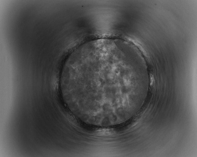 X0000094940499200712061234