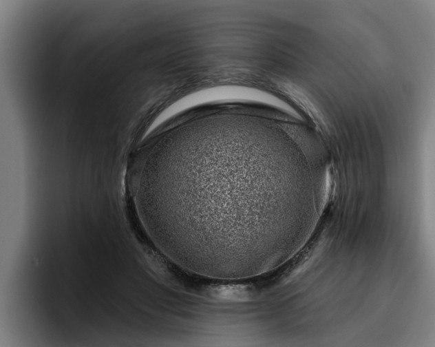 X0000094940501200712061234