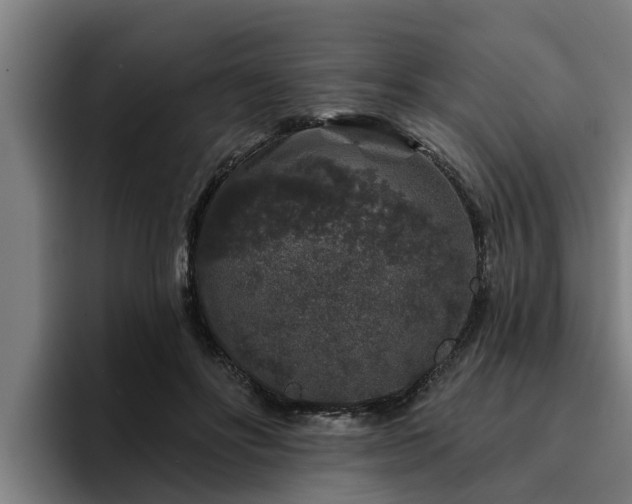 X0000094940502200712061234