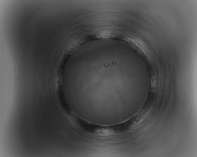 X0000094940503200712061234