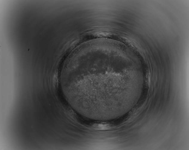 X0000094940506200712061234